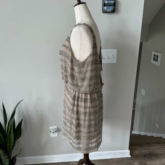 NWT! 5/48 Sequins Chiffon Scoop Neck Dress - Beige and Silver - Picture 3 of 11